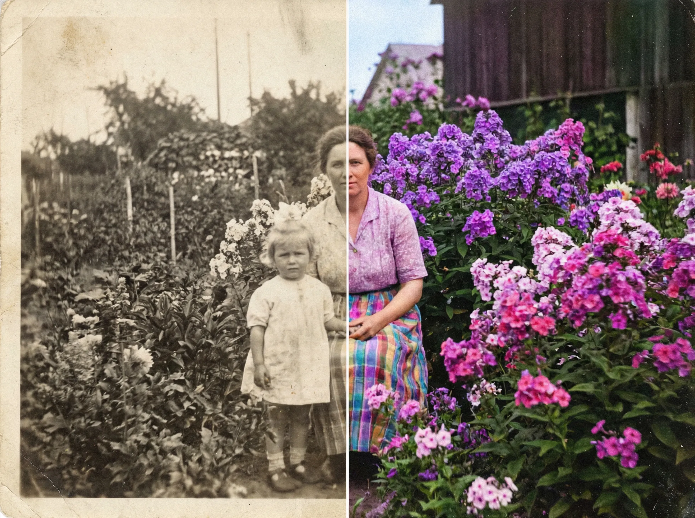 Colorize Photo