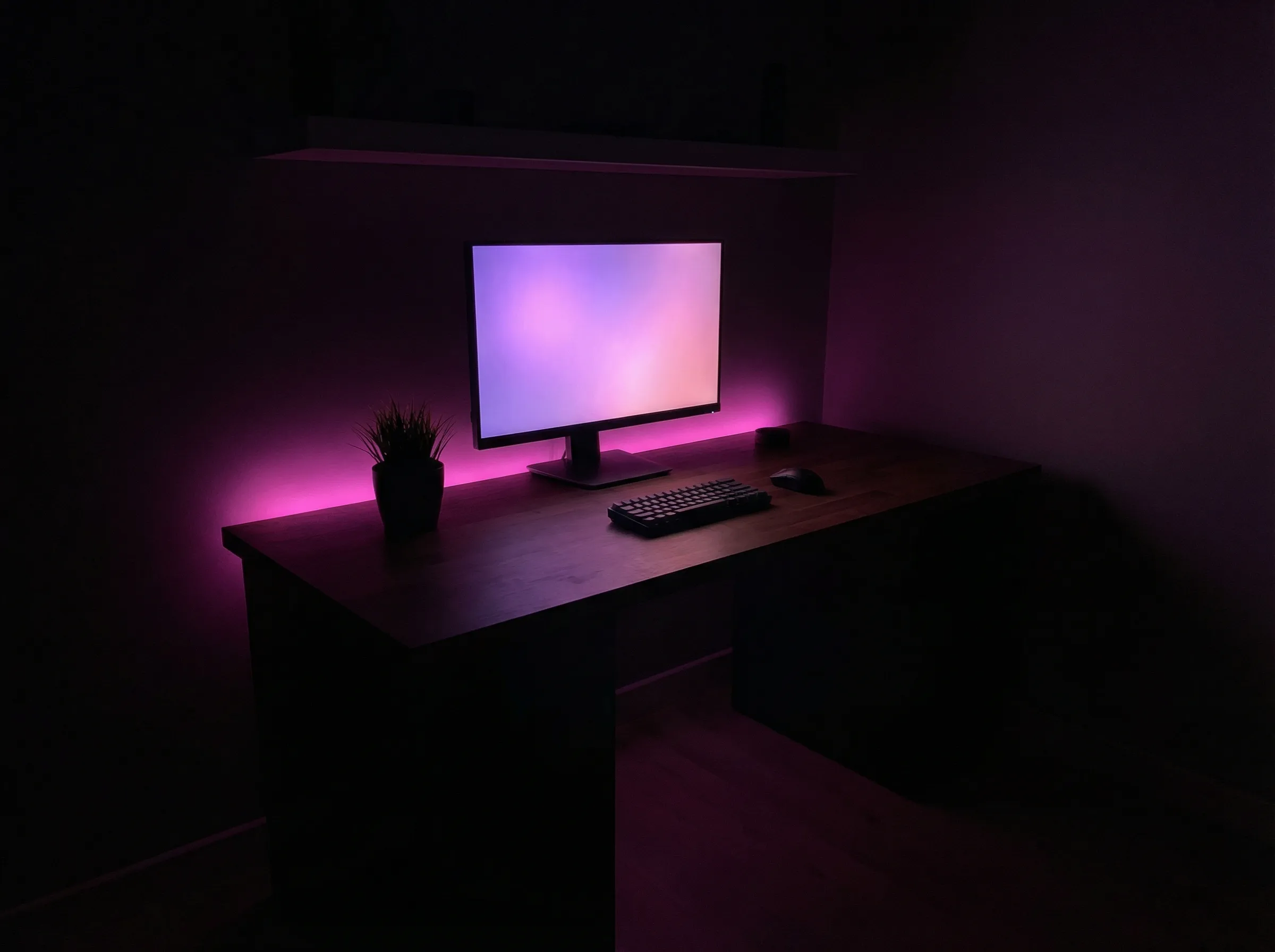 Graphic Designer